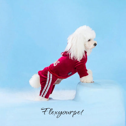 Dog Jumpsuit Spring Autumn