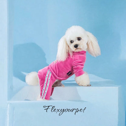 Dog Jumpsuit Spring Autumn