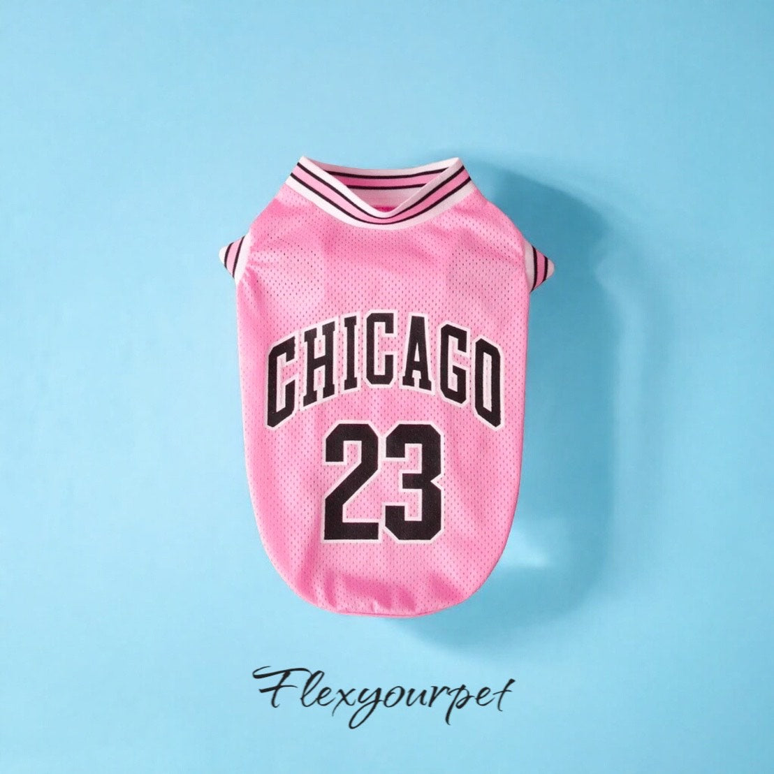 Chicago Jersey Basketball