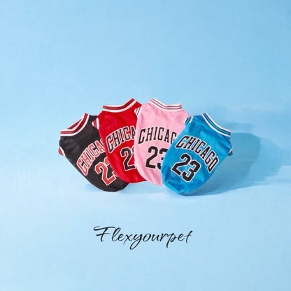 Chicago Jersey Basketball