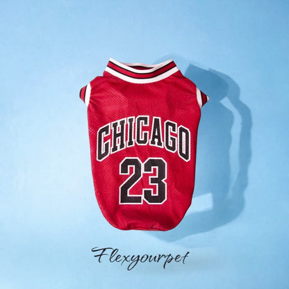 Chicago Jersey Basketball