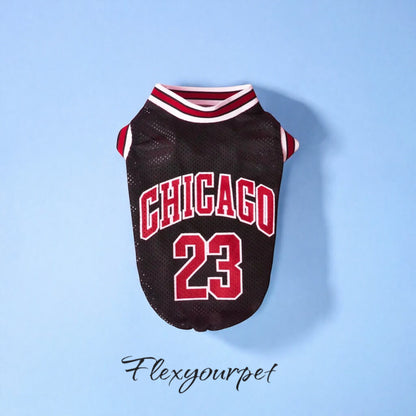 Chicago Jersey Basketball