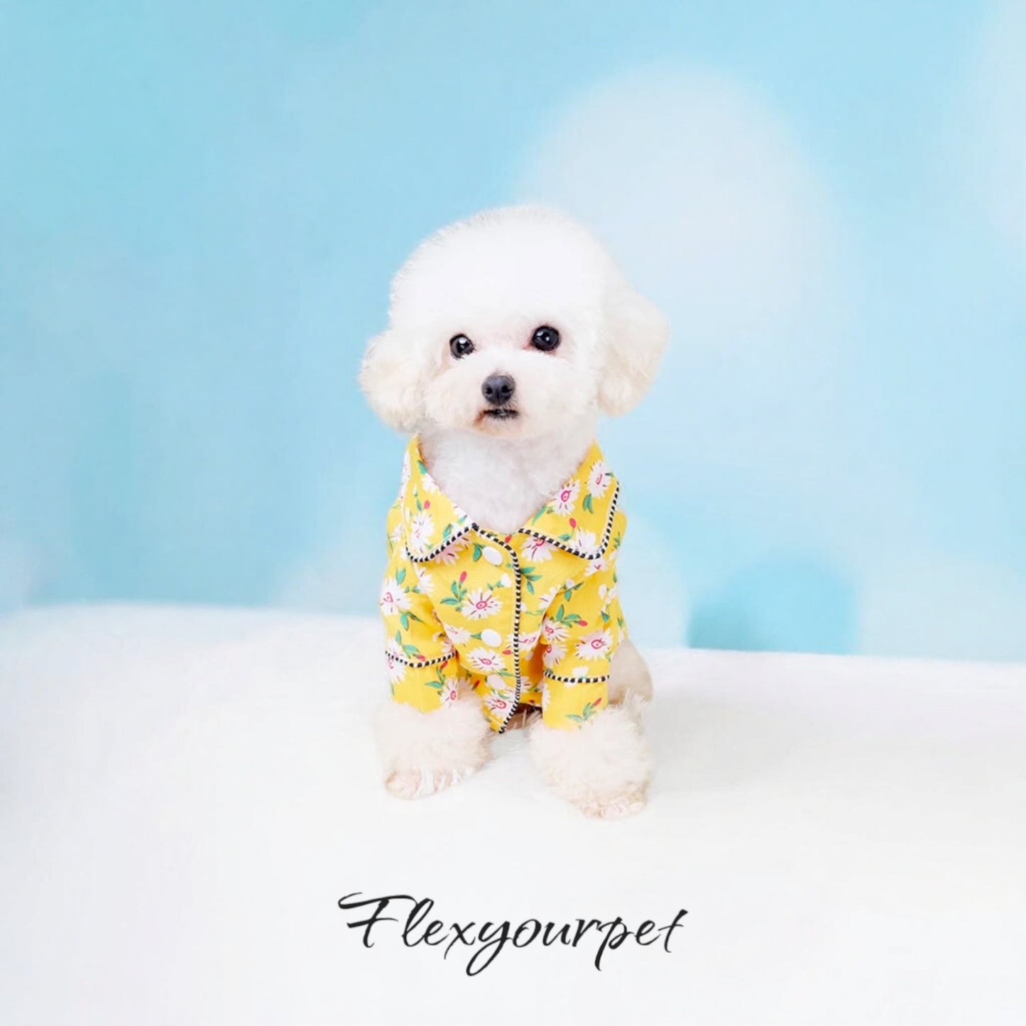 Comfy Dog Pajamas