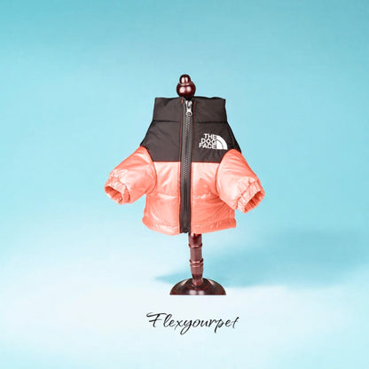 Windproof Jacket