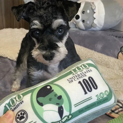 Money Dog Toys