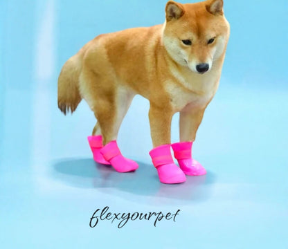 Fashion Dog Boot